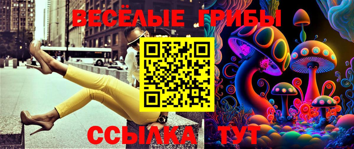 Псилоцибиновые грибы Psilocybine cubensis Карталы